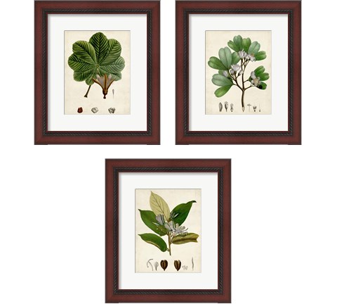 Verdant Foliage 3 Piece Framed Art Print Set by Vision Studio