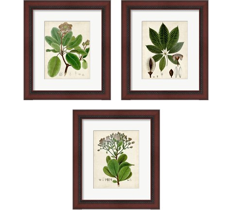 Verdant Foliage 3 Piece Framed Art Print Set by Vision Studio