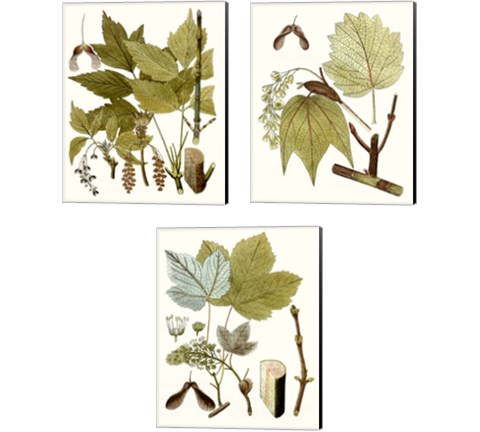 Maple Leaves 3 Piece Canvas Print Set