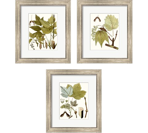 Maple Leaves 3 Piece Framed Art Print Set