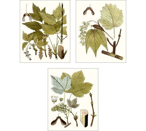 Maple Leaves 3 Piece Art Print Set