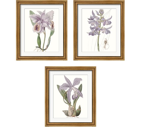 Lavender Beauties 3 Piece Framed Art Print Set by Edwards
