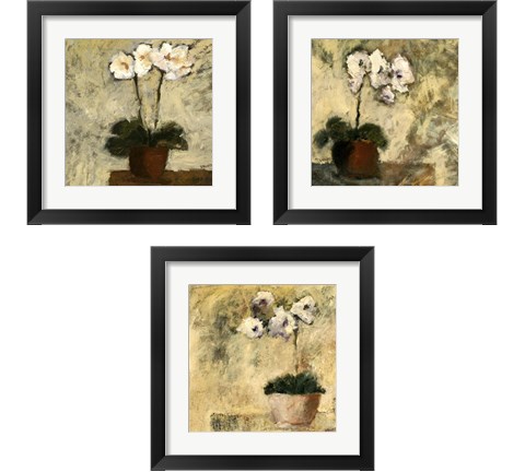 Orchid Textures 3 Piece Framed Art Print Set by Judi Bagnato