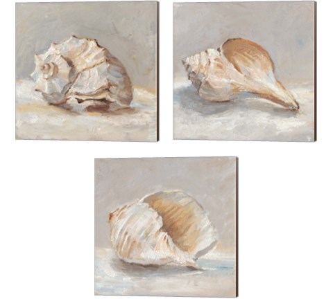 Impressionist Shell Study 3 Piece Canvas Print Set by Ethan Harper