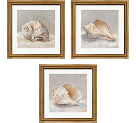 Impressionist Shell Study 3 Piece Framed Art Print Set by Ethan Harper