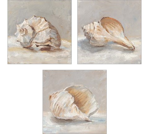 Impressionist Shell Study 3 Piece Art Print Set by Ethan Harper