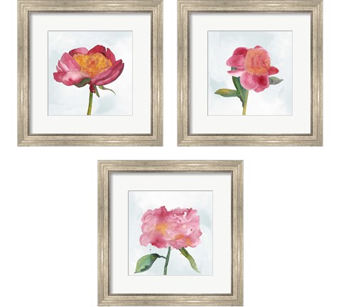 Joyful Peony 3 Piece Framed Art Print Set by Alicia Ludwig