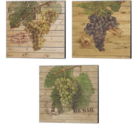 Grape Crate 3 Piece Canvas Print Set by Nobleworks Inc.