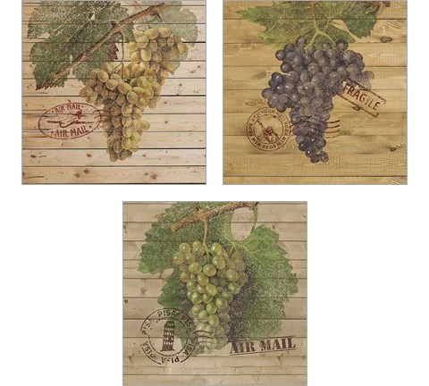 Grape Crate 3 Piece Art Print Set by Nobleworks Inc.