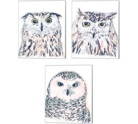Funky Owl Portrait 3 Piece Canvas Print Set by June Erica Vess