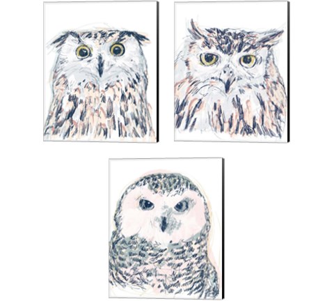 Funky Owl Portrait 3 Piece Canvas Print Set by June Erica Vess