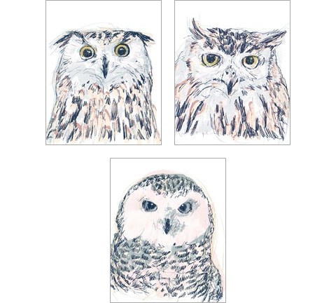 Funky Owl Portrait 3 Piece Art Print Set by June Erica Vess