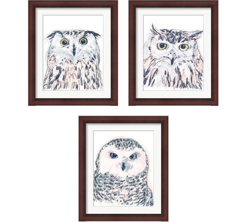 Funky Owl Portrait 3 Piece Framed Art Print Set by June Erica Vess