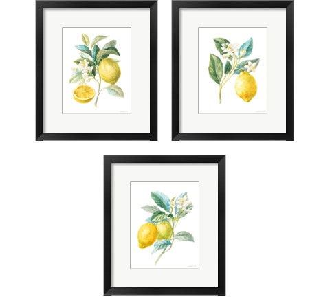 Floursack Lemon on White 3 Piece Framed Art Print Set by Danhui Nai