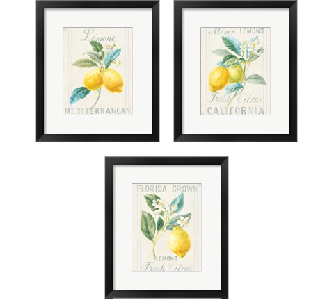 Floursack Lemon 3 Piece Framed Art Print Set by Danhui Nai