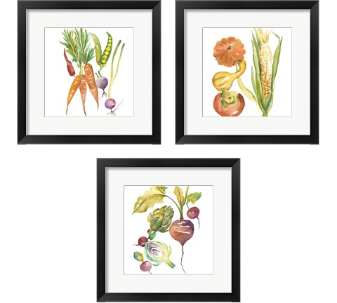 Harvest Medley 3 Piece Framed Art Print Set by Chariklia Zarris