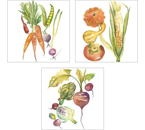 Harvest Medley 3 Piece Art Print Set by Chariklia Zarris