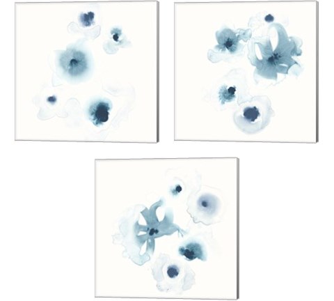 Protea Blue 3 Piece Canvas Print Set by June Erica Vess