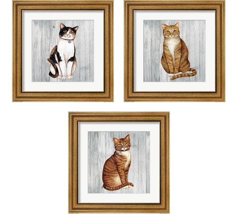 Country Kitty on Wood 3 Piece Framed Art Print Set by David Carter Brown