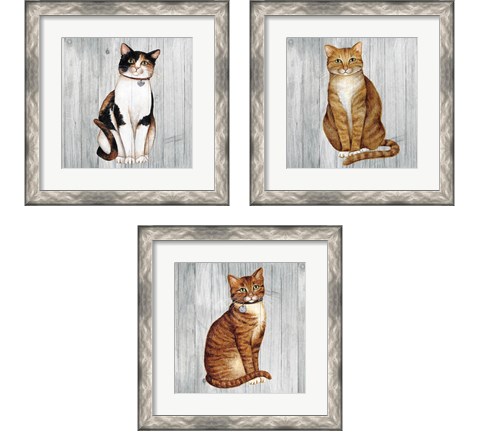 Country Kitty on Wood 3 Piece Framed Art Print Set by David Carter Brown