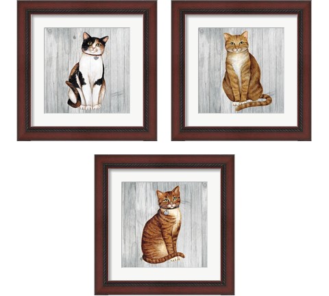 Country Kitty on Wood 3 Piece Framed Art Print Set by David Carter Brown