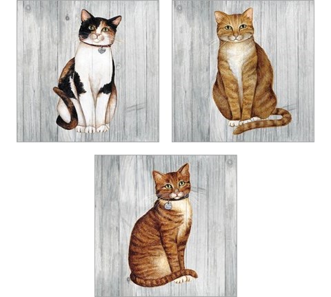 Country Kitty on Wood 3 Piece Art Print Set by David Carter Brown