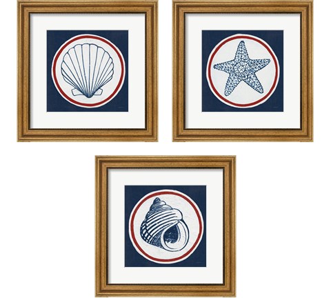 Summer Shells Nautical 3 Piece Framed Art Print Set by Kathrine Lovell