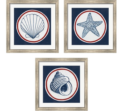 Summer Shells Nautical 3 Piece Framed Art Print Set by Kathrine Lovell