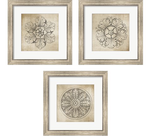 Rosette Neutral 3 Piece Framed Art Print Set by Wild Apple Portfolio