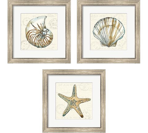 Coastal Breeze 3 Piece Framed Art Print Set by Anne Tavoletti