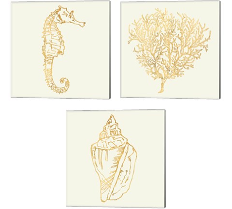 Coastal Breese Shell Sketches 3 Piece Canvas Print Set by Anne Tavoletti