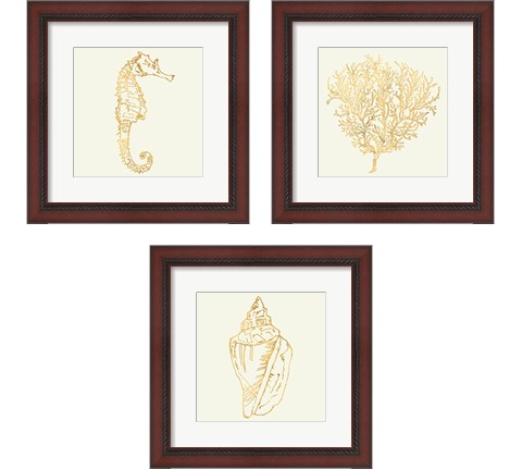 Coastal Breese Shell Sketches 3 Piece Framed Art Print Set by Anne Tavoletti