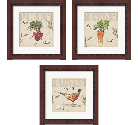 Farmers Feast 3 Piece Framed Art Print Set by Anne Tavoletti