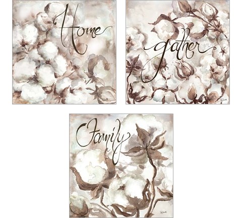 Cotton Boll Triptych Sentimen 3 Piece Art Print Set by Tre Sorelle Studios