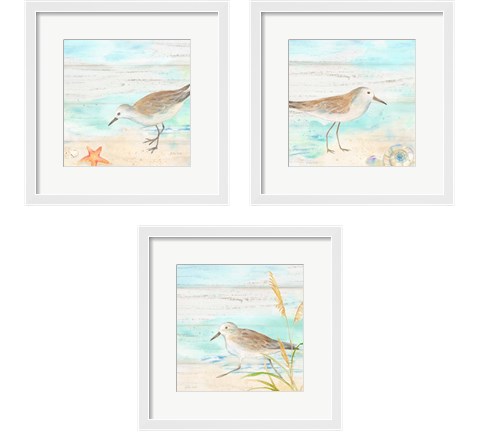 Sandpiper Beach 3 Piece Framed Art Print Set by Cynthia Coulter