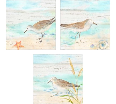 Sandpiper Beach 3 Piece Art Print Set by Cynthia Coulter