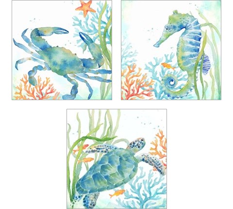 Sea Life Serenade 3 Piece Art Print Set by Cynthia Coulter
