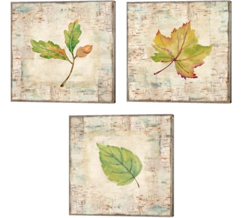 Nature Walk Leaves 3 Piece Canvas Print Set by Cynthia Coulter