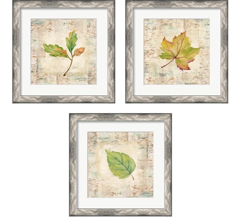 Nature Walk Leaves 3 Piece Framed Art Print Set by Cynthia Coulter