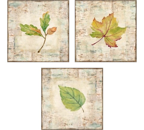Nature Walk Leaves 3 Piece Art Print Set by Cynthia Coulter