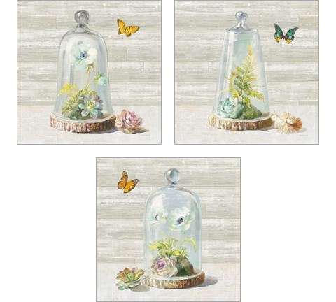 Succulent Garden 3 Piece Art Print Set by Danhui Nai