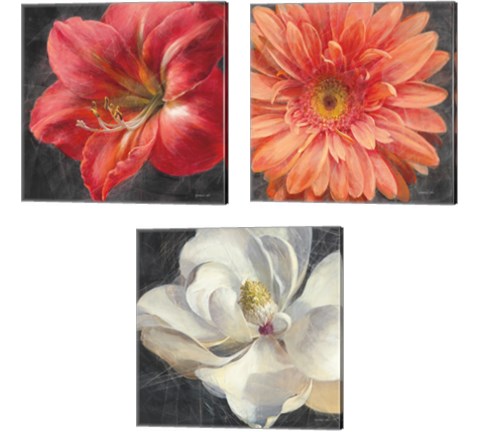Vivid Floral 3 Piece Canvas Print Set by Danhui Nai