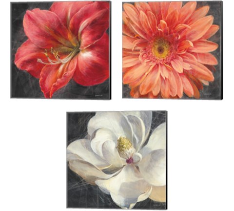 Vivid Floral 3 Piece Canvas Print Set by Danhui Nai