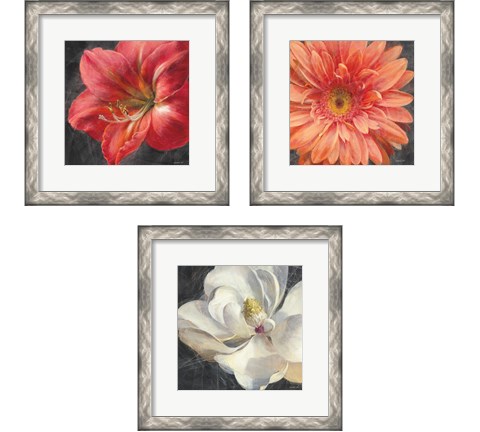 Vivid Floral 3 Piece Framed Art Print Set by Danhui Nai