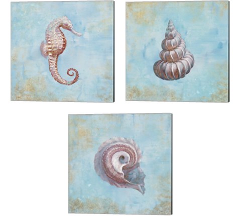 Treasures from the Sea Watercolor 3 Piece Canvas Print Set by Danhui Nai