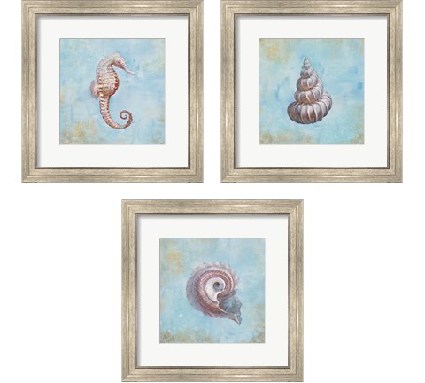 Treasures from the Sea Watercolor 3 Piece Framed Art Print Set by Danhui Nai