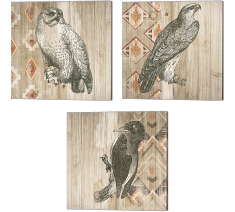 Natural History Lodge Southwest 3 Piece Canvas Print Set by Wild Apple Portfolio