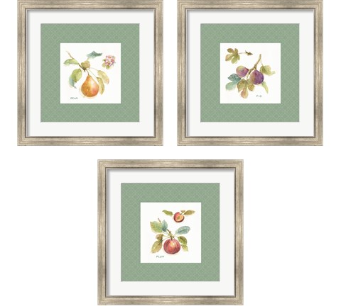 Orchard Bloom Border 3 Piece Framed Art Print Set by Lisa Audit