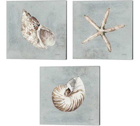 Sand and Seashells  3 Piece Canvas Print Set by Lisa Audit