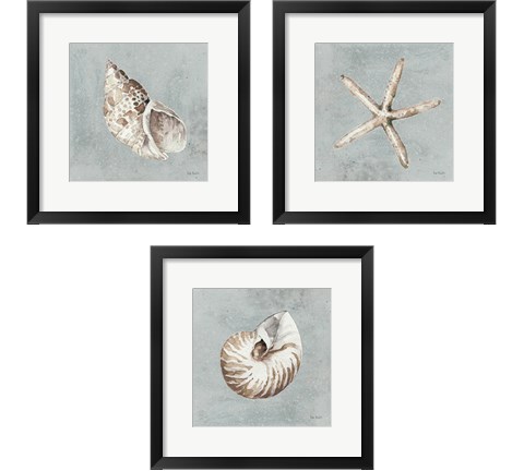 Sand and Seashells  3 Piece Framed Art Print Set by Lisa Audit